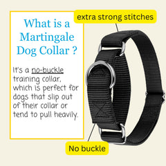 Country Brook Petz Martingale Dog Collar ribbed nylon webbing close-up.