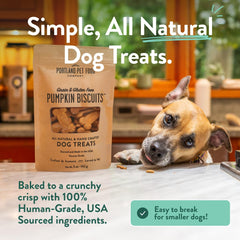 CRAFTED BY HUMANS LOVED BY DOGS Portland Pet Food Pumpkin Dog Treats pouch shown from the back.