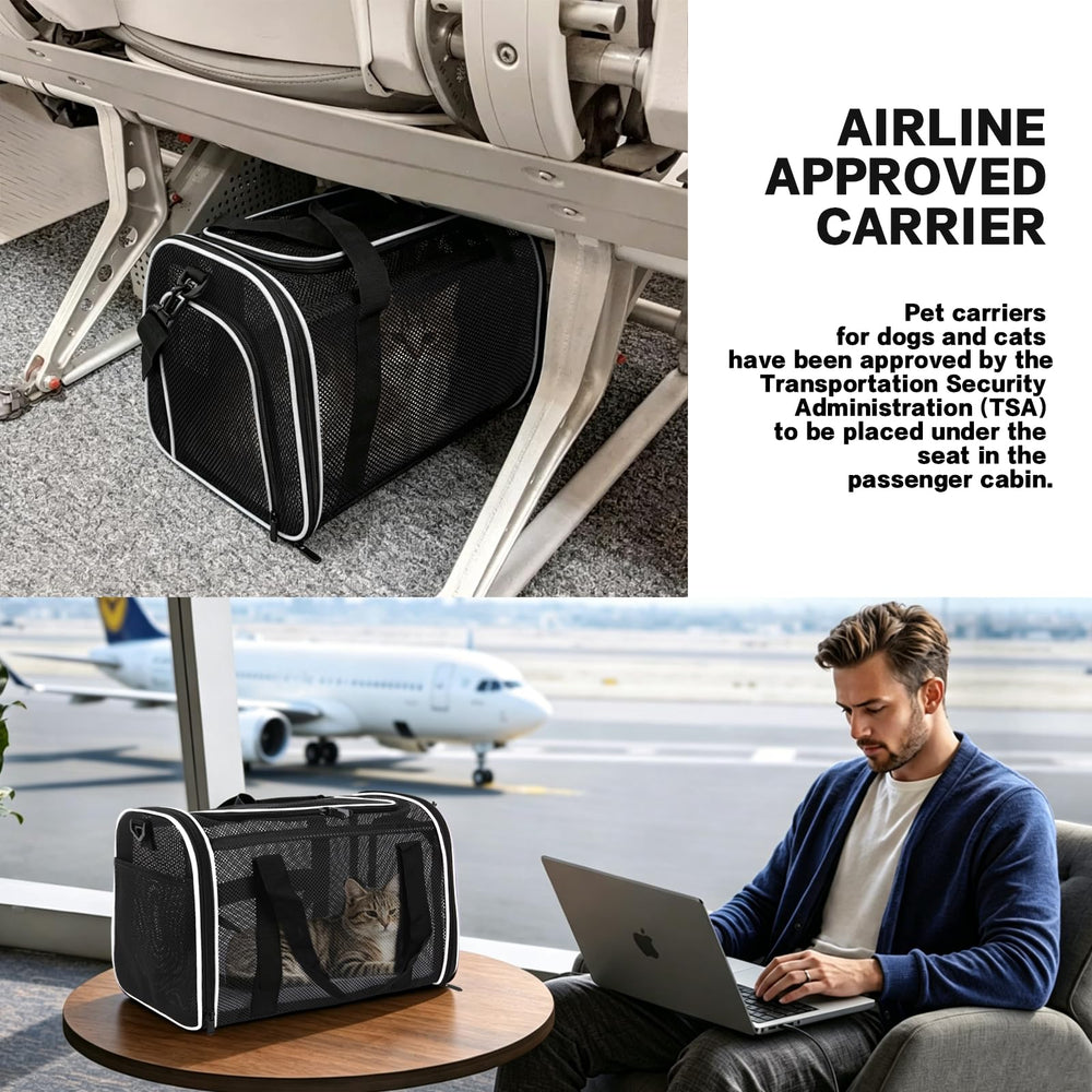 Adjustable shoulder straps on the CRKOIAXEP soft-sided pet carrier.