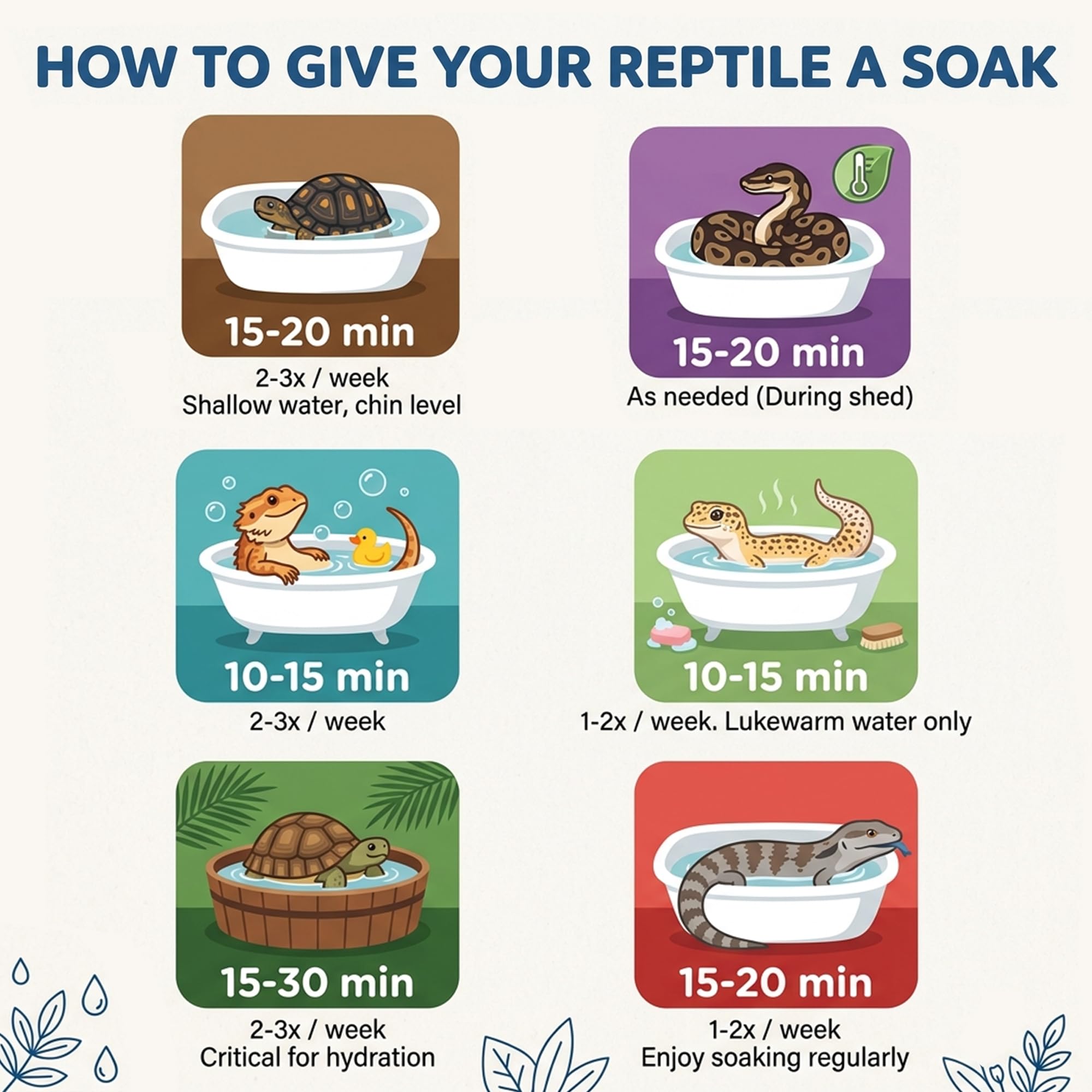 CTWPets Reptile Electrolyte Soak shown for leopard gecko soaking.