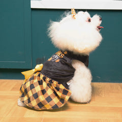 CuteBone dog dress shown to illustrate its pullover style.