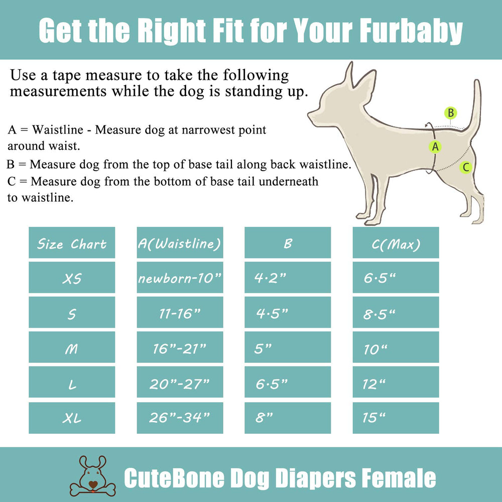 CuteBone female dog diaper laundry loops shown beside the fastening hooks.