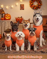 CuteBone Halloween dog sweater dress shown being worn by a dog.