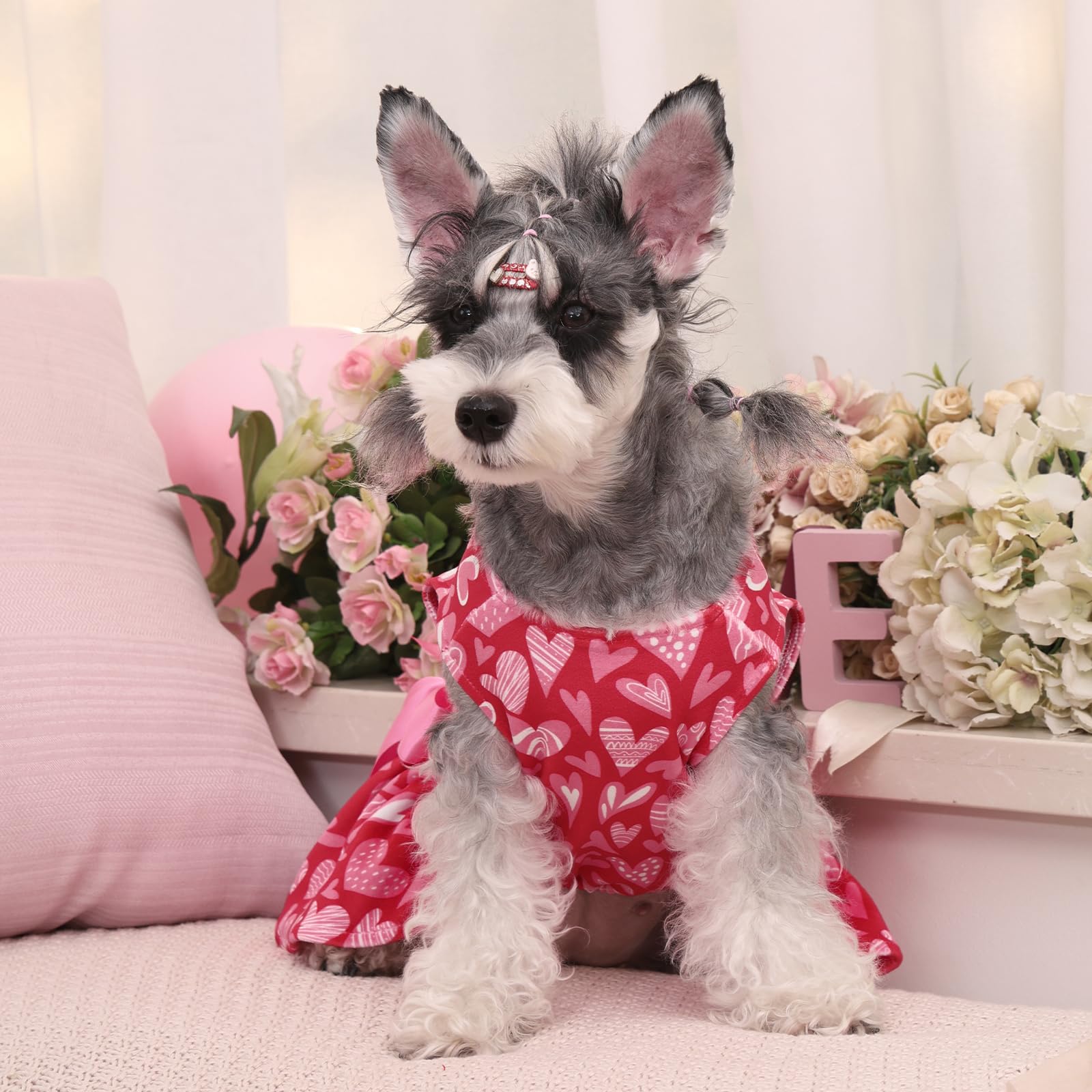 CuteBone velvet dog dress shown in a selection of colors and styles.