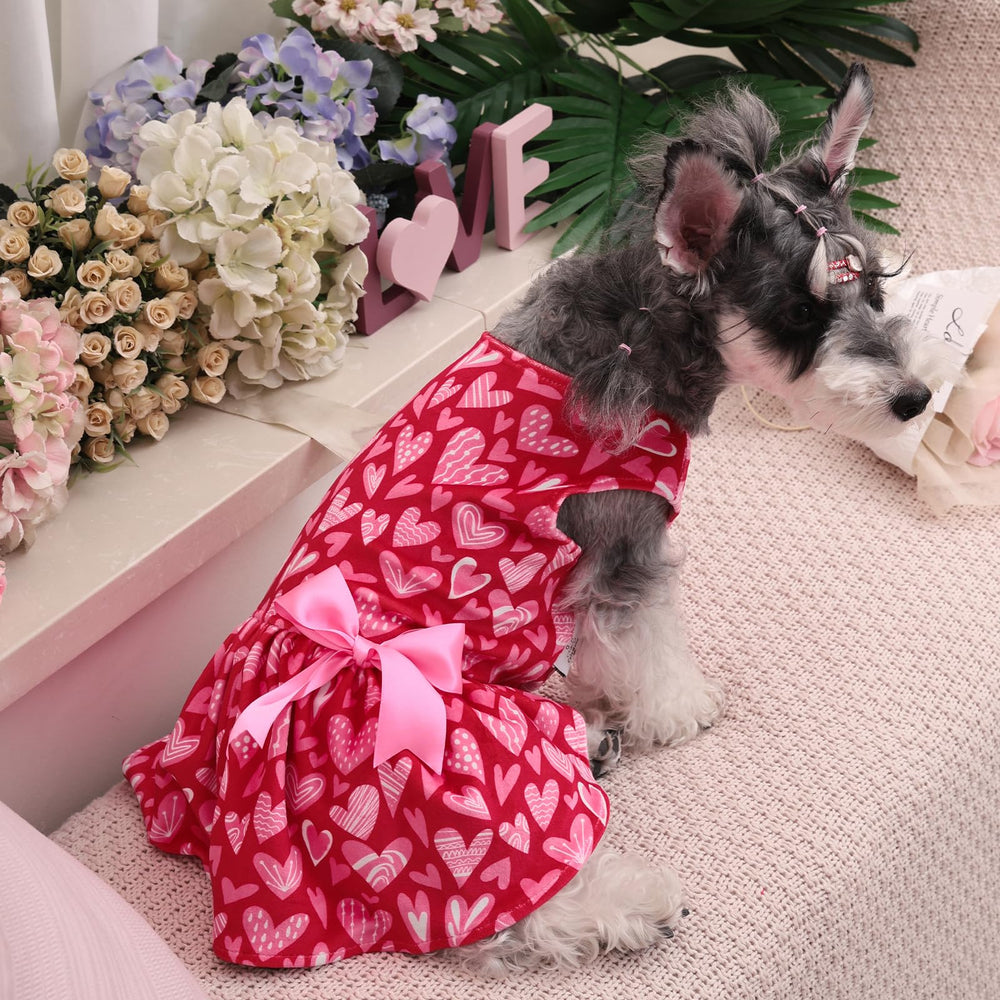 CuteBone velvet dog dress shown to highlight its pullover design.