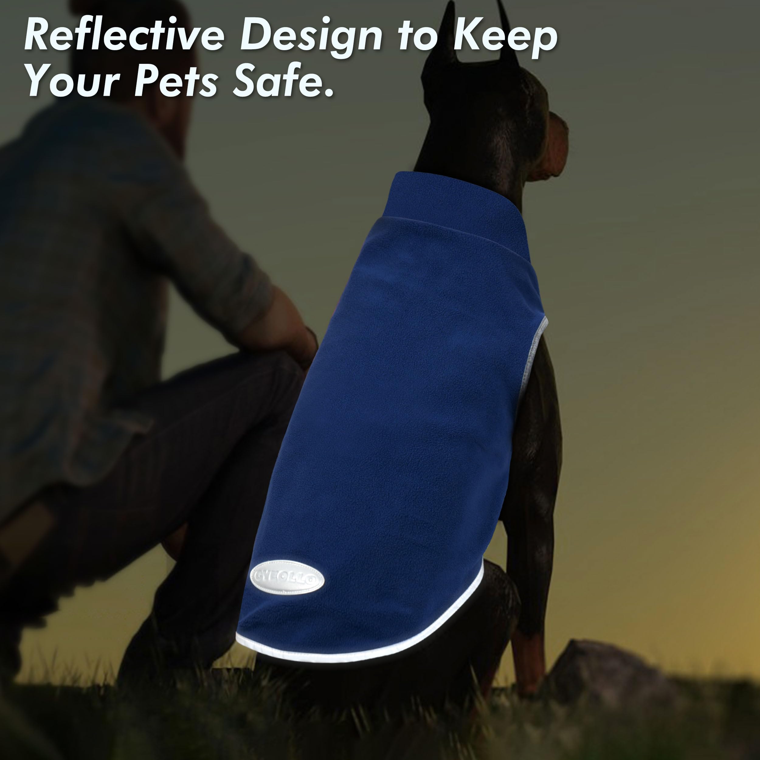 cyeollo dog sweater shown as a layer beneath a coat.