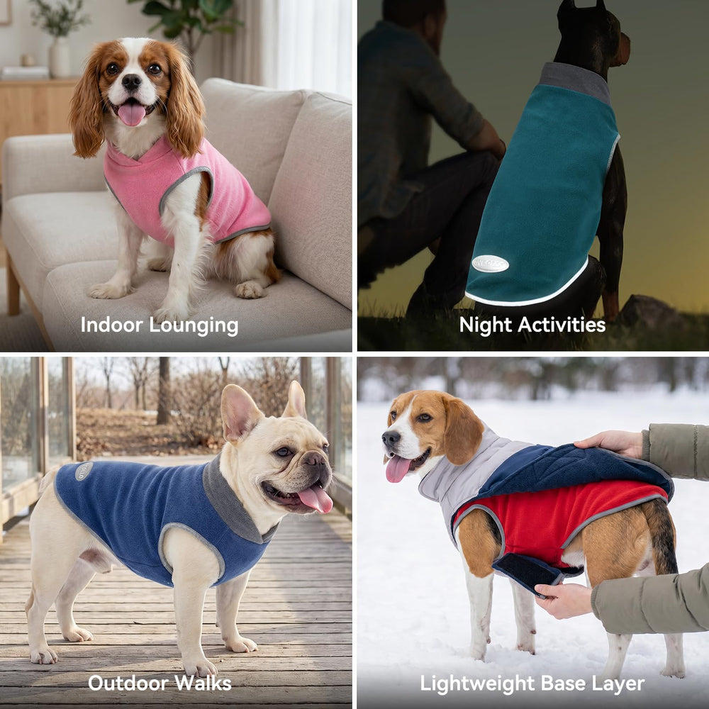 Cyeollo dog sweater shown being worn by a dog indoors.