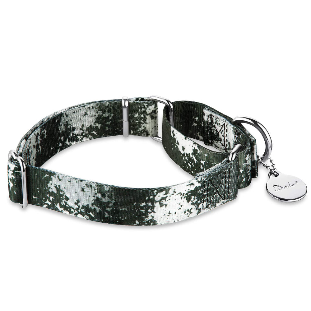 Dazzber martingale collar shown fitted on a dog.