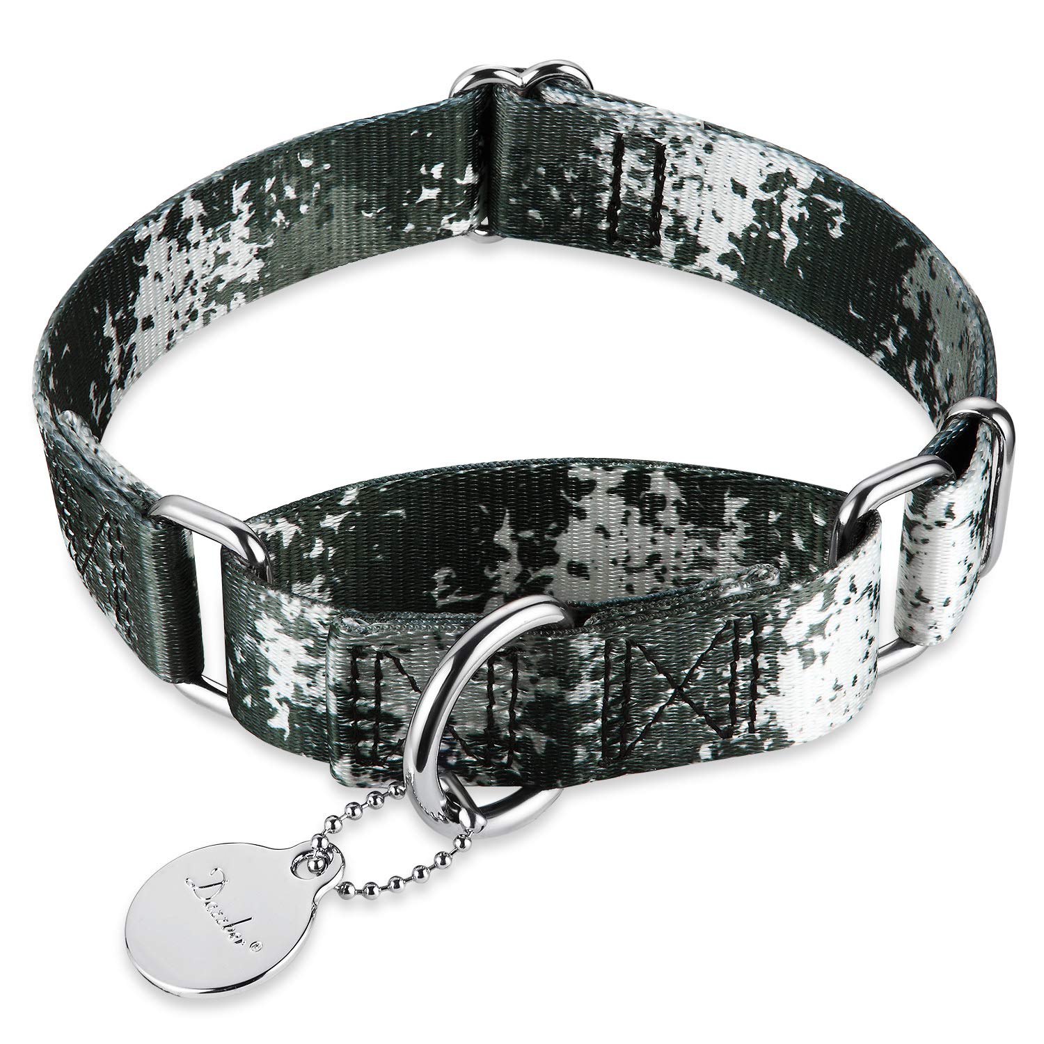Dazzber martingale collar close-up showing its stainless steel hardware.