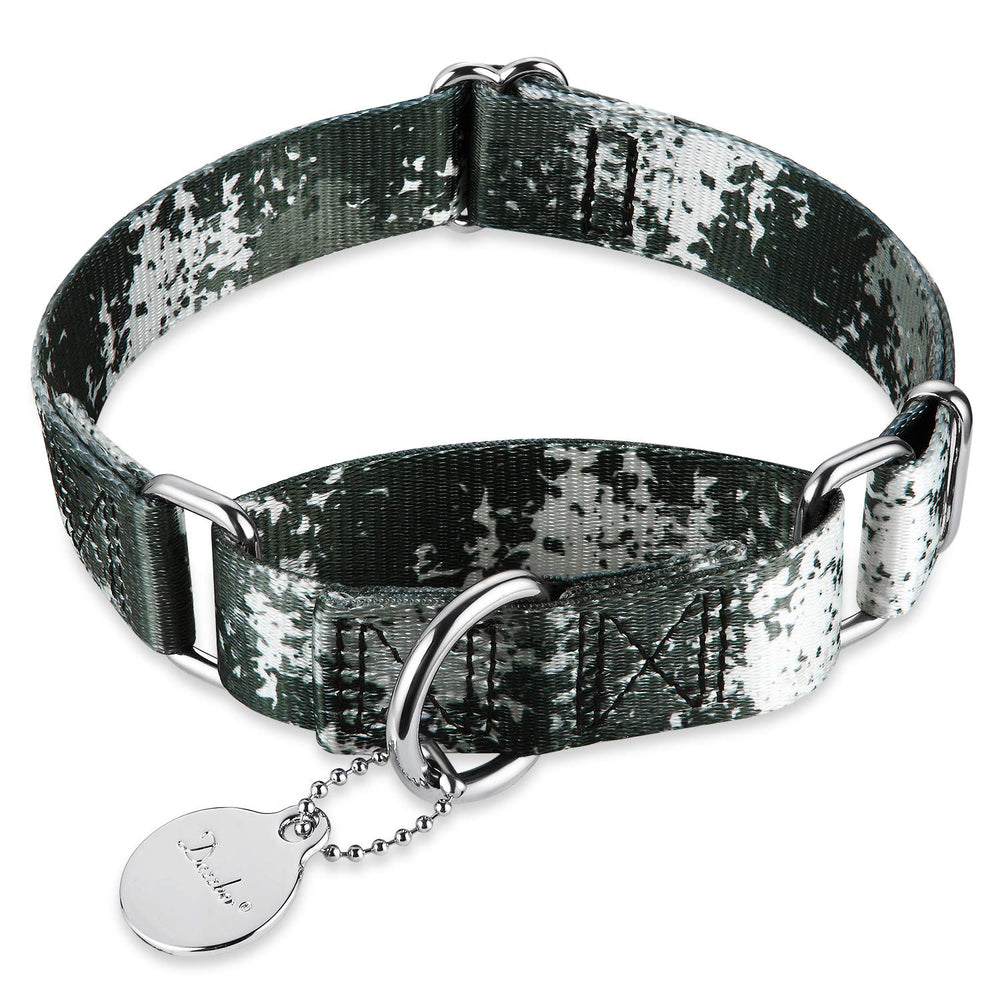 Dazzber martingale collar close-up showing its stainless steel hardware.