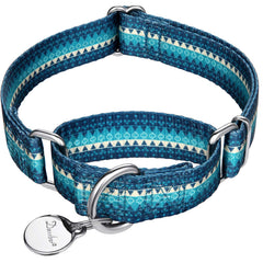 Dazzber martingale dog collar shown from the front in turquoise.