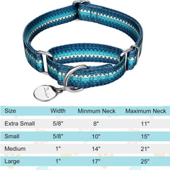 Dazzber martingale dog collar with its geometric pattern in close-up.
