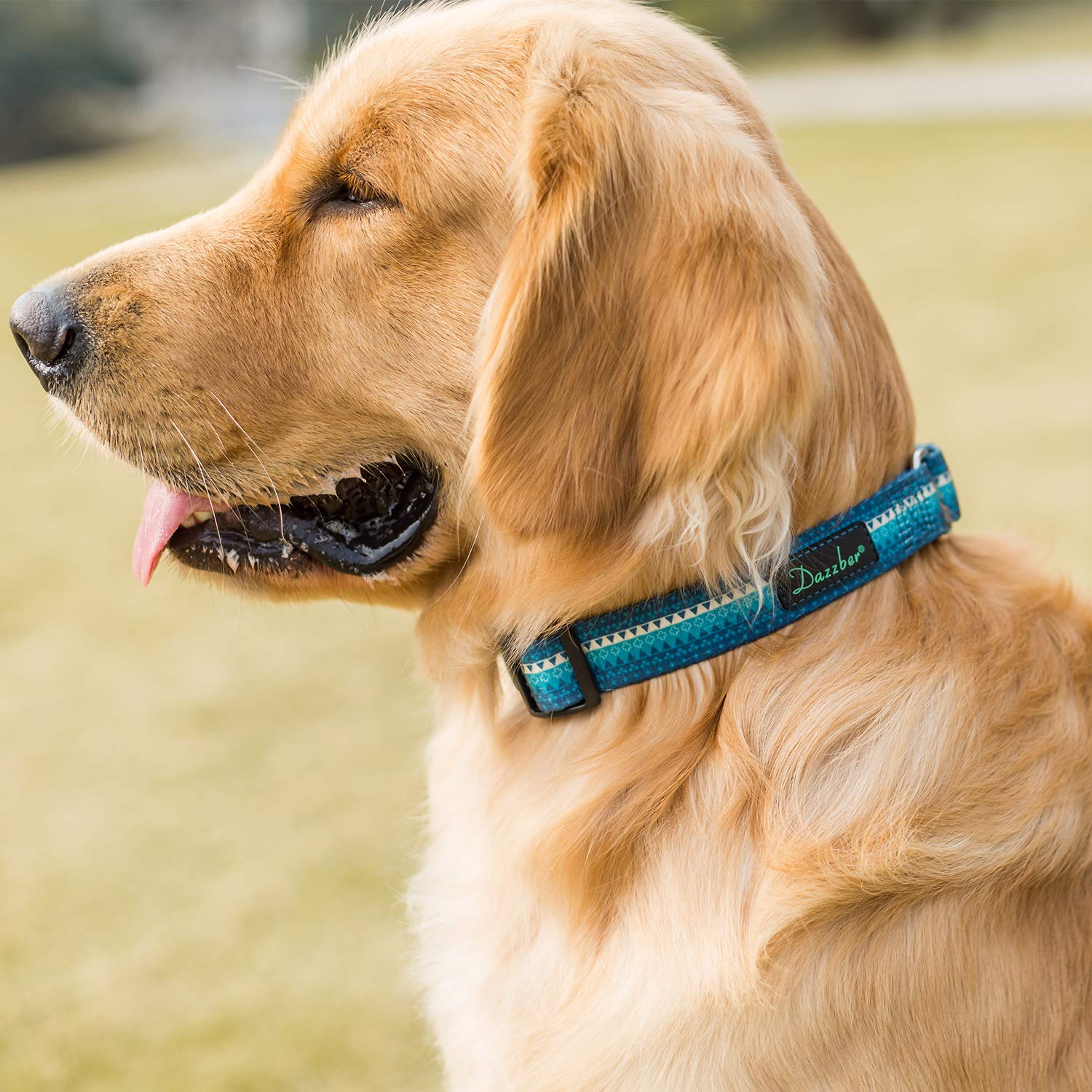 Dazzber martingale dog collar showing its aluminum and stainless steel hardware.