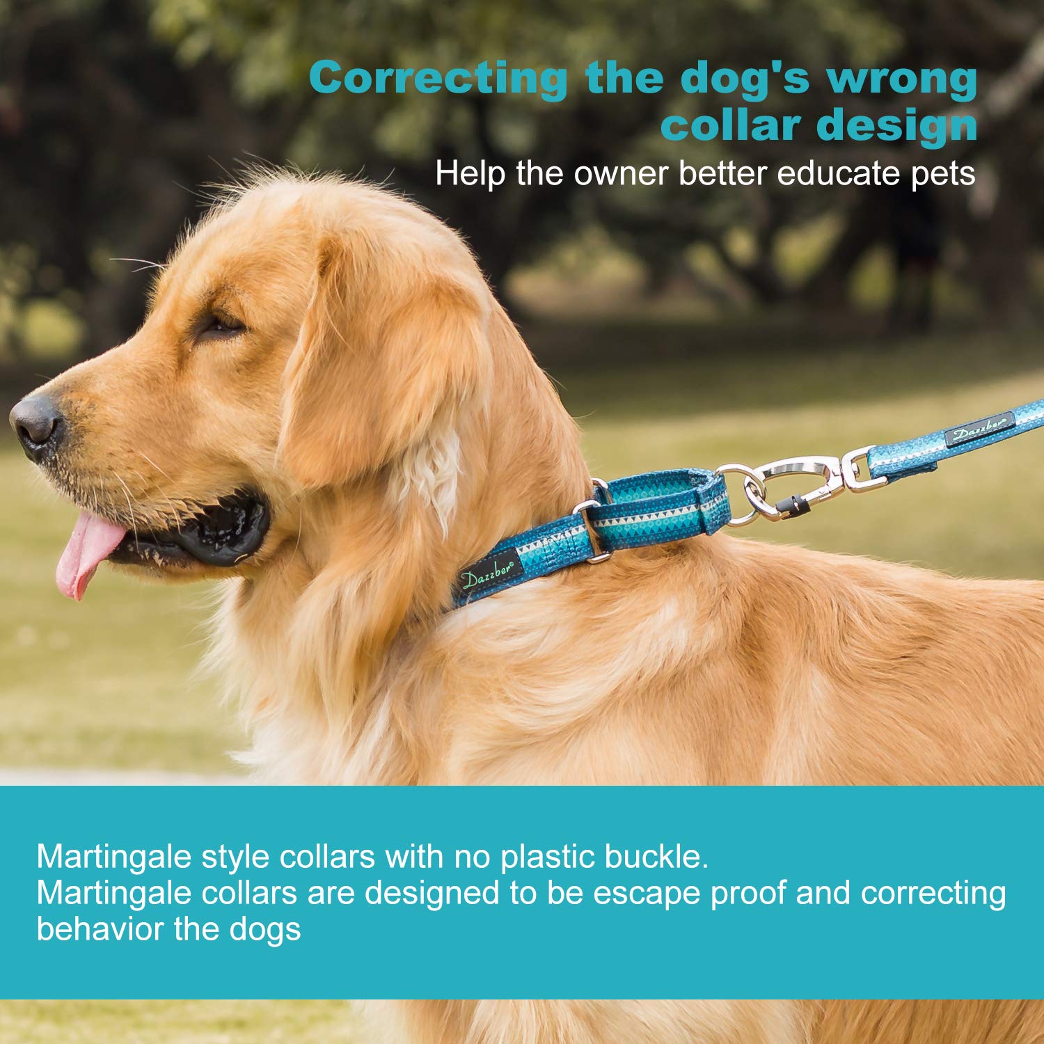 Dazzber martingale dog collar with a guide to its large neck size range.