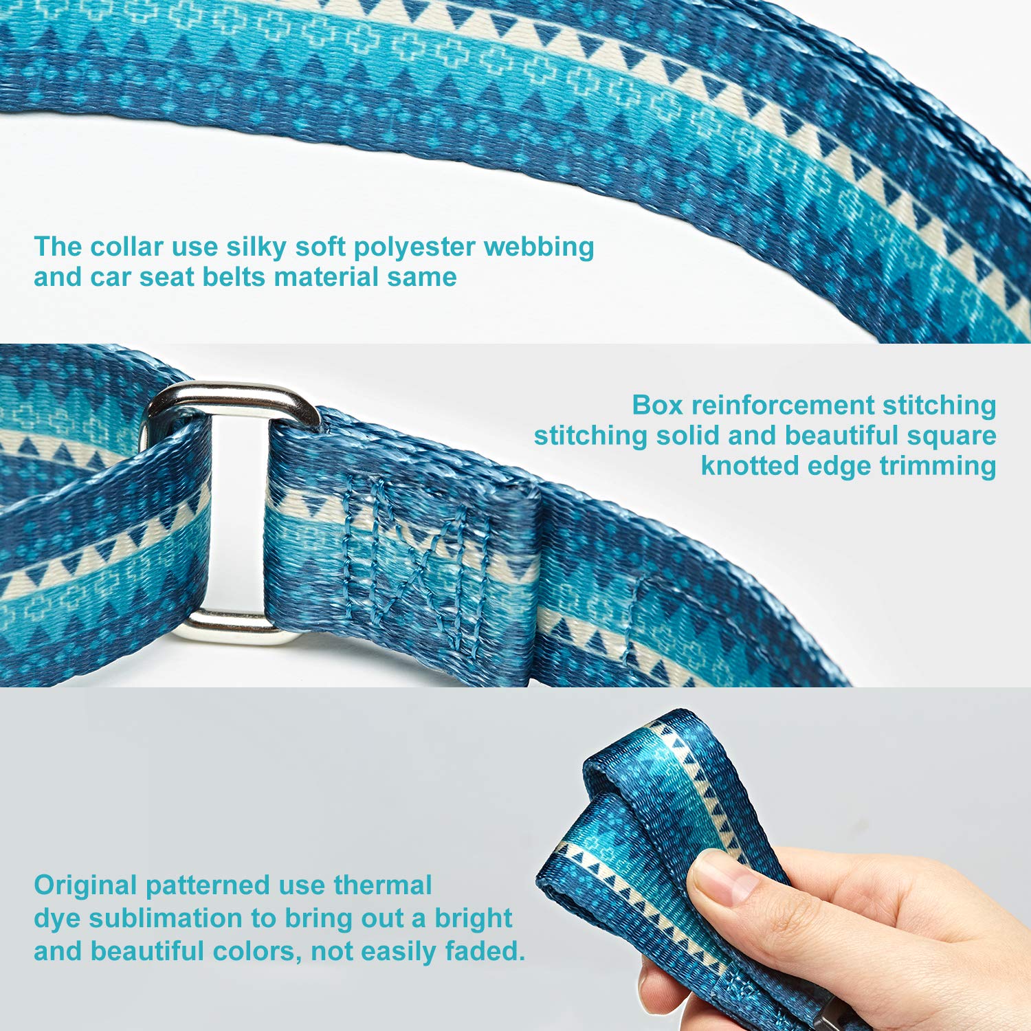 Dazzber martingale dog collar shown fitted on a medium dog.