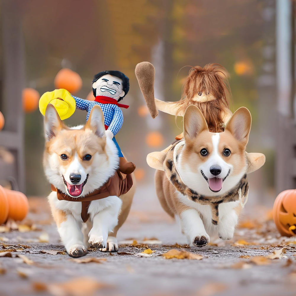 DELIFUR dog costume shown from an alternate angle to display its overall design.