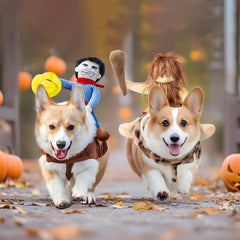 DELIFUR dog costume shown from an alternate angle to display its overall design.