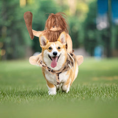 DELIFUR dog costume shown worn by a pet in the cowboy rider style.