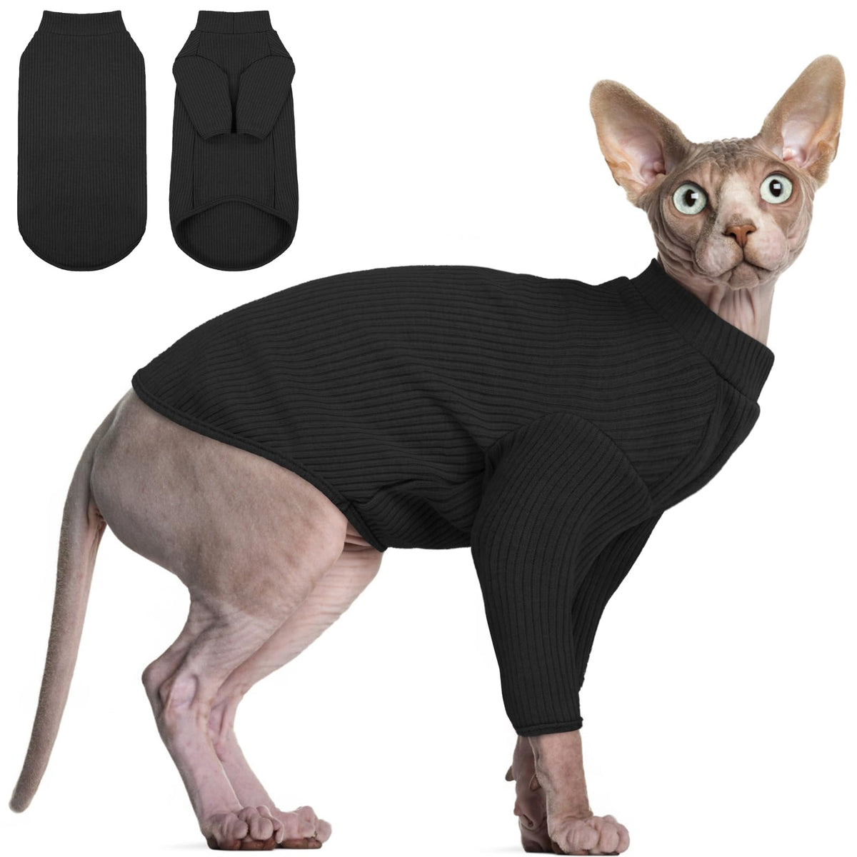 DENTRUN Hairless Cat Shirt shown from the front.