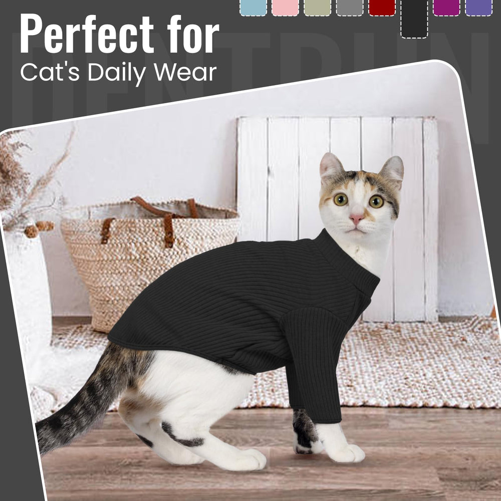 DENTRUN Hairless Cat Shirt shown as an outfit for occasions.