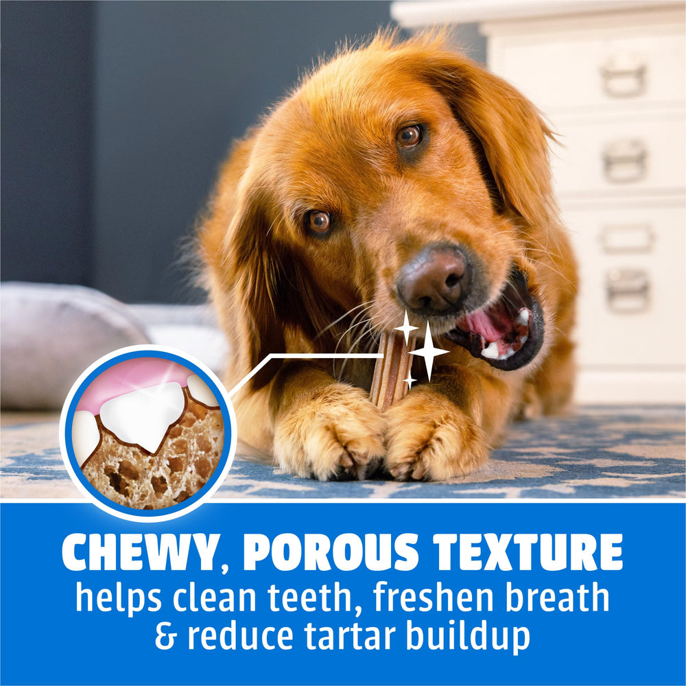 A dog enjoying a Dentalife large dog dental chew.