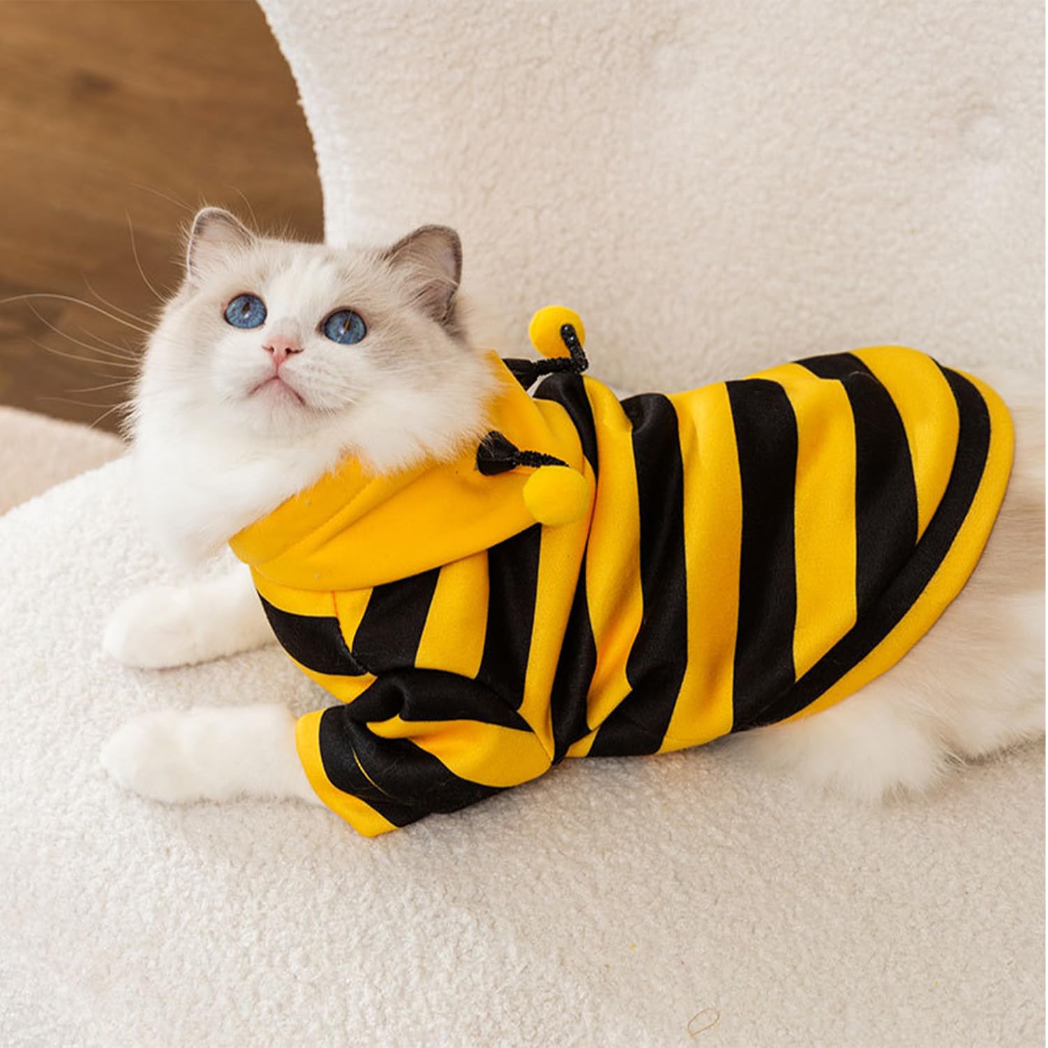 DENTRUN cat sweater styled for a costume occasion.