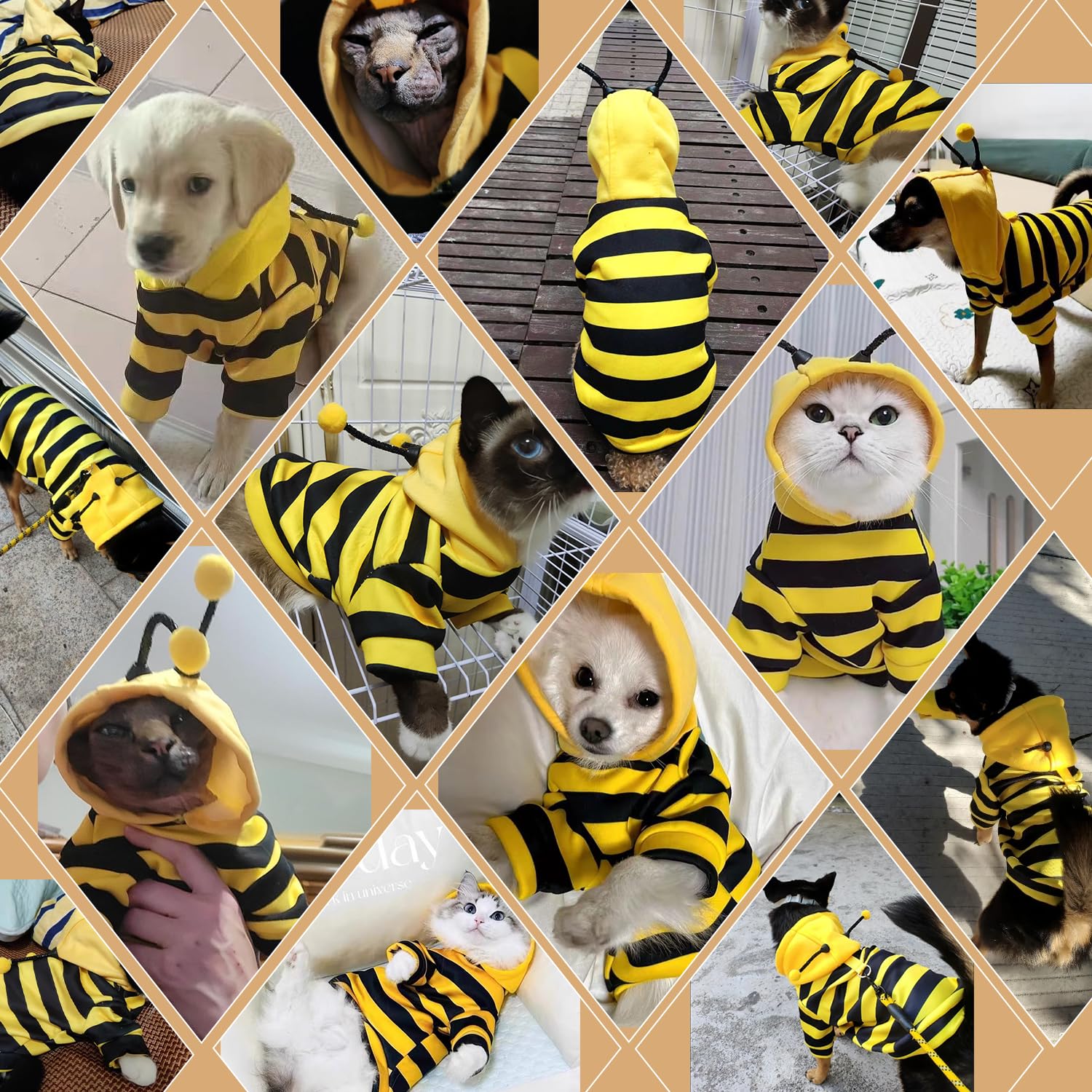 DENTRUN cat sweater shown as a sleepwear option.