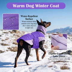 DENTRUN dog coat shown from the back to display its overall shape.