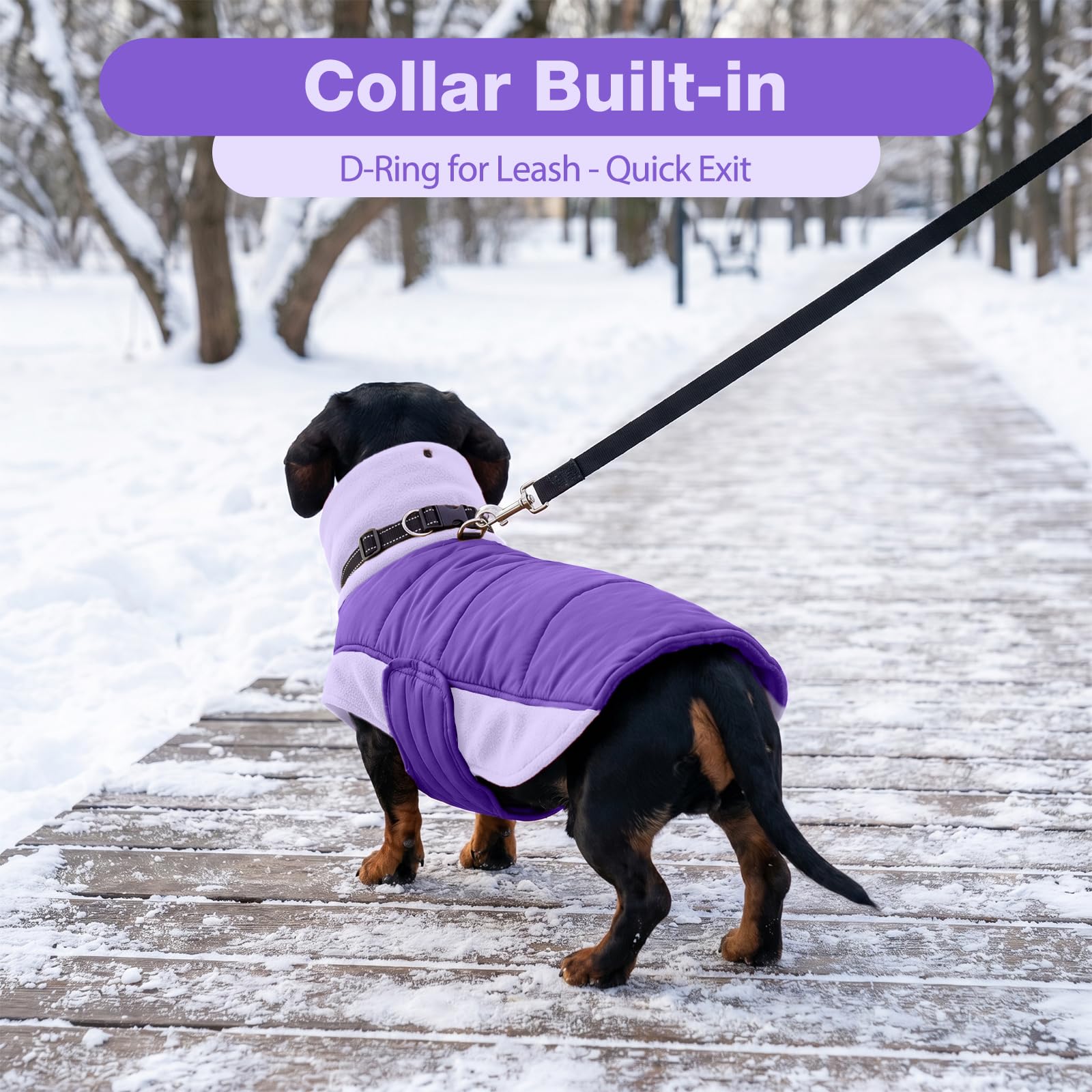 DENTRUN dog coat detail showing the hook-and-loop belly straps.