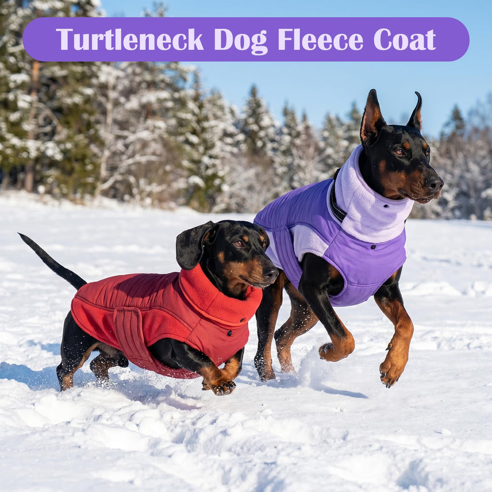 DENTRUN dog coat detail showing the two built-in collar D-rings.