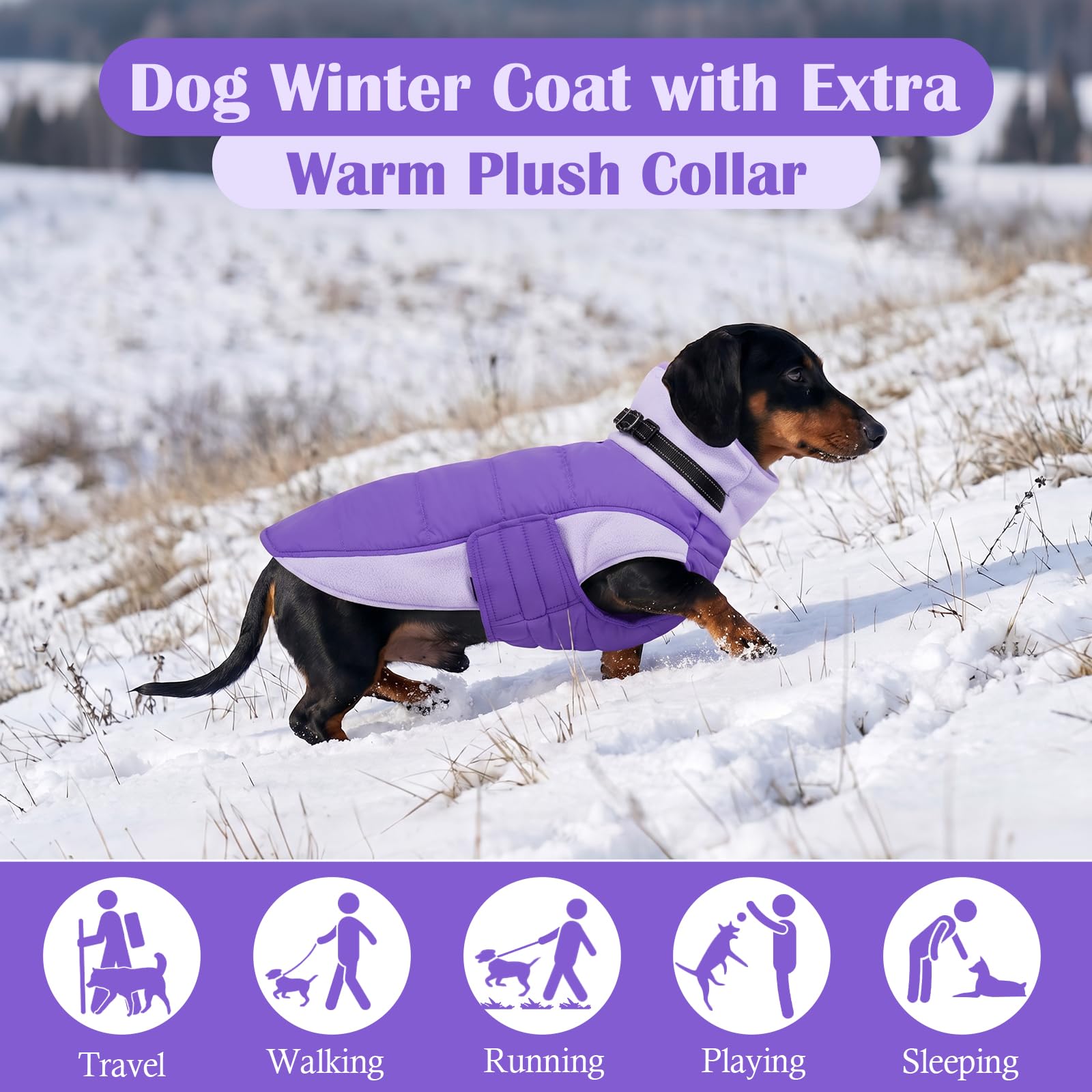 DENTRUN dog coat close-up showing the plush adjustable turtleneck.
