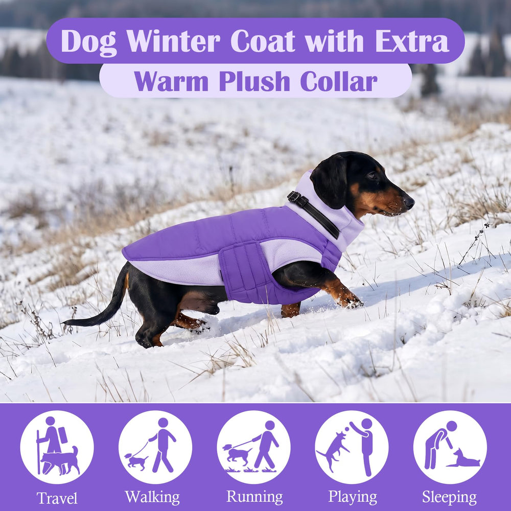 DENTRUN dog coat close-up showing the plush adjustable turtleneck.