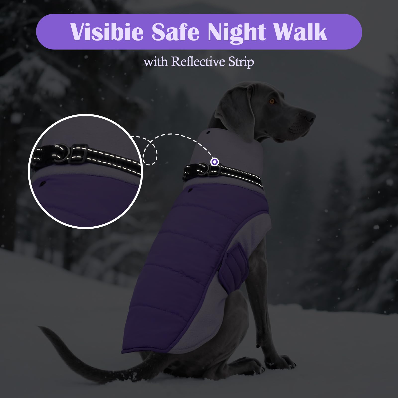 DENTRUN dog coat shown being worn by a dog.