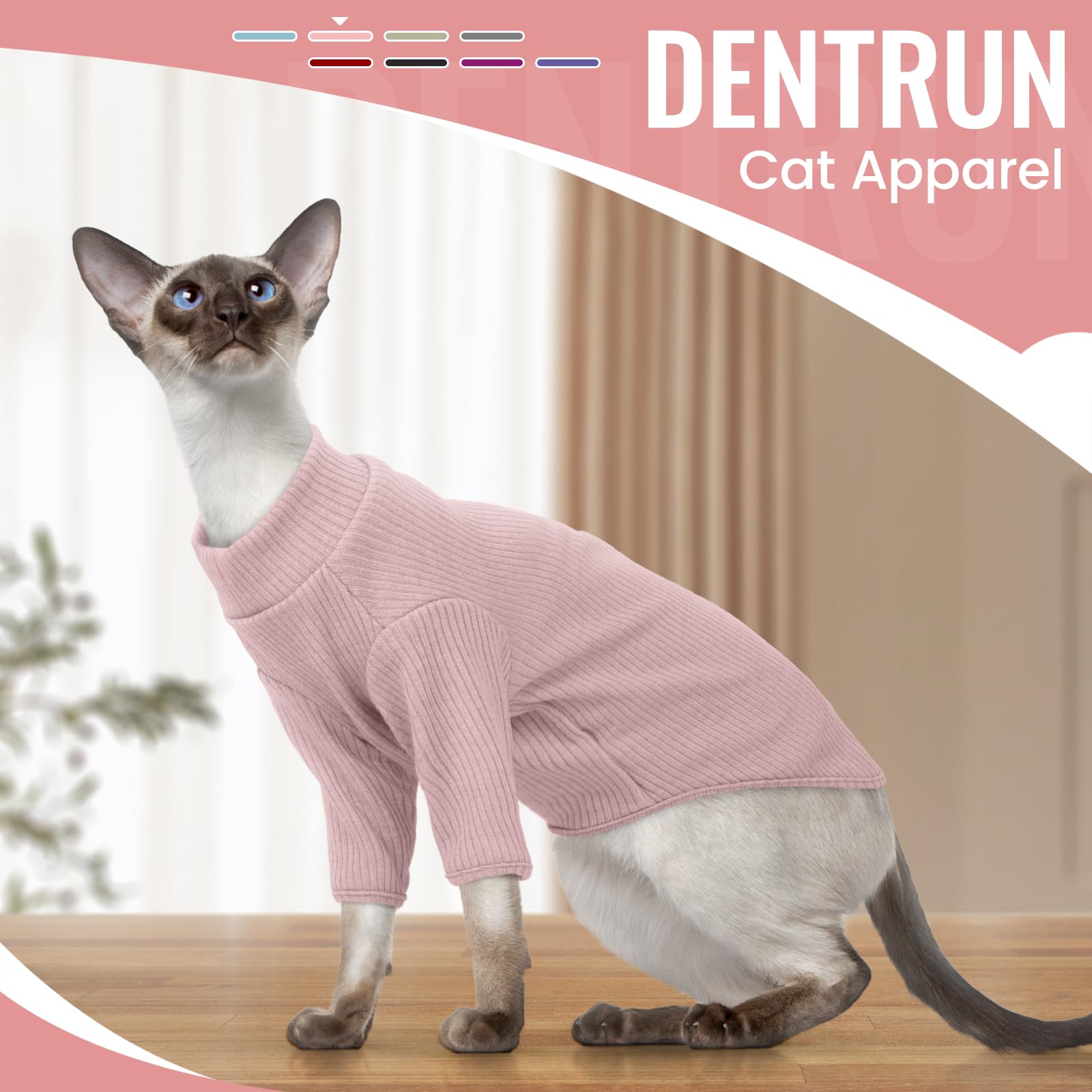 DENTRUN hairless cat shirt shown from the back.