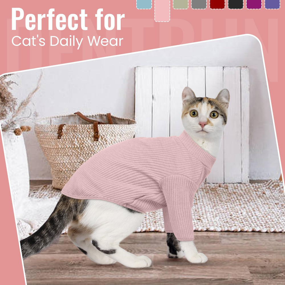 DENTRUN hairless cat shirt presented as an everyday cat outfit.