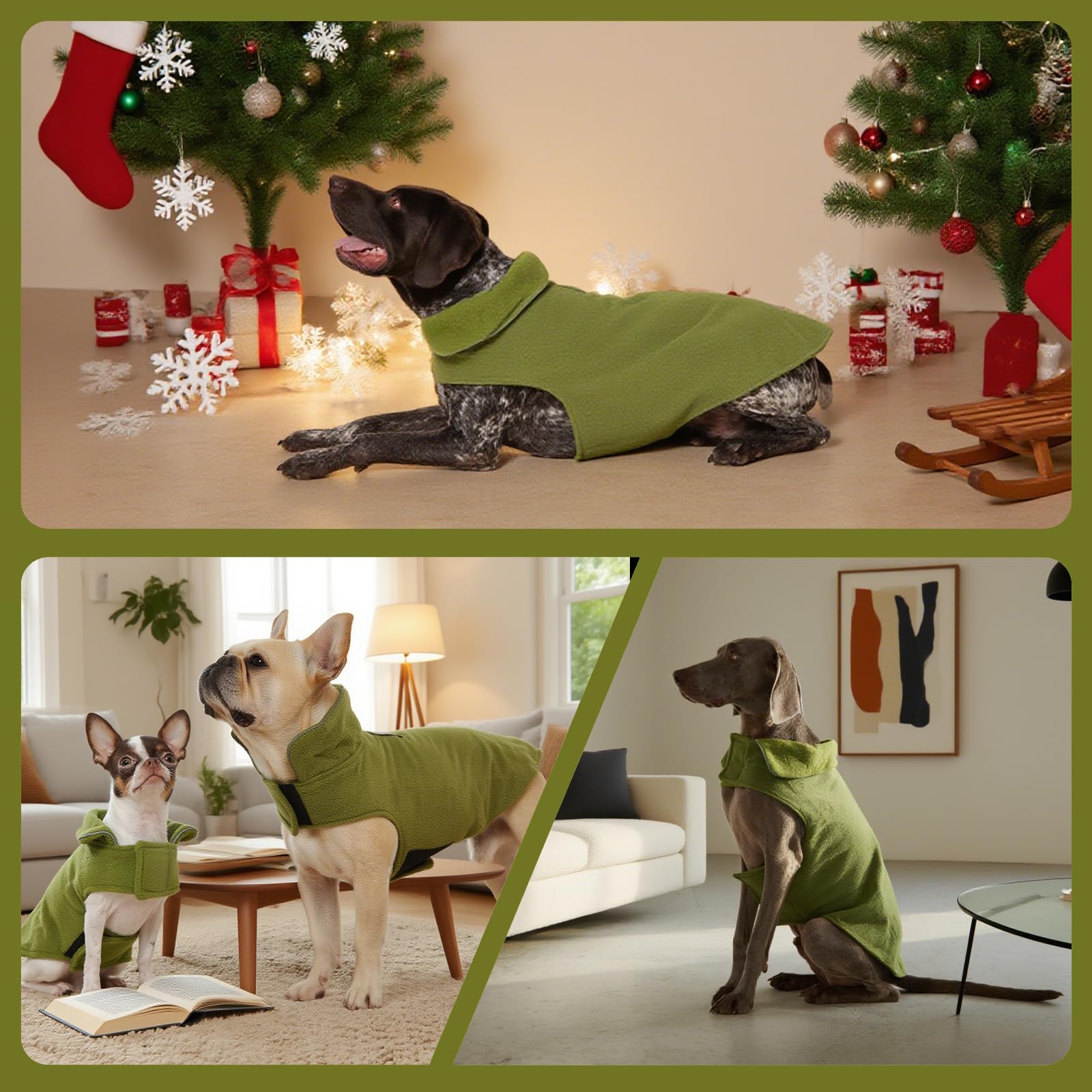 DENTRUN dog winter coat with its high neck folded down.