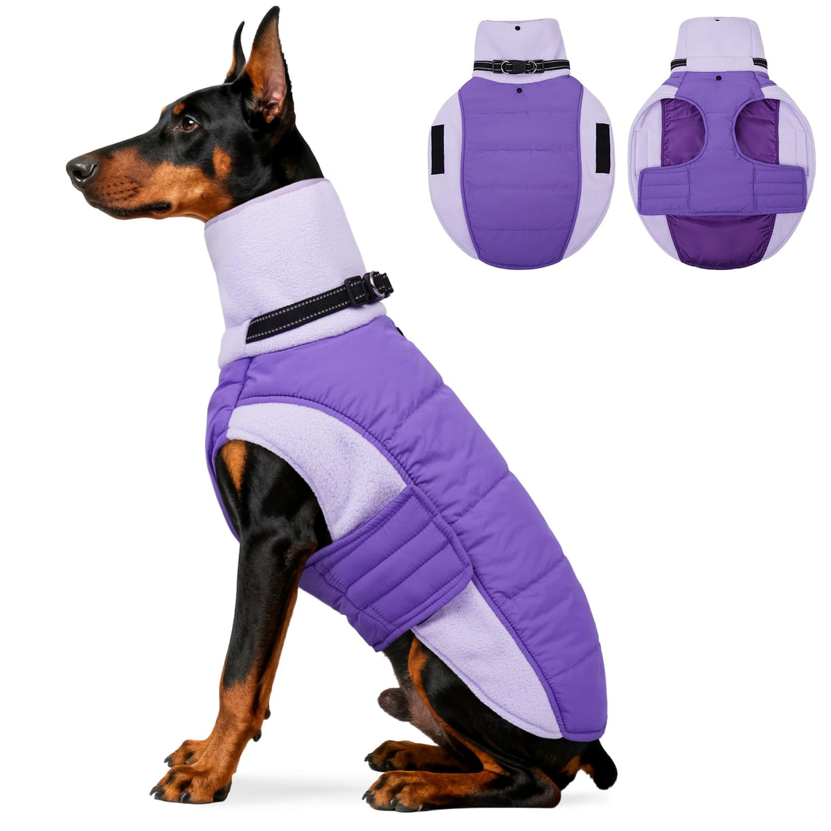 DENTRUN dog coat shown from the front with its built-in collar.