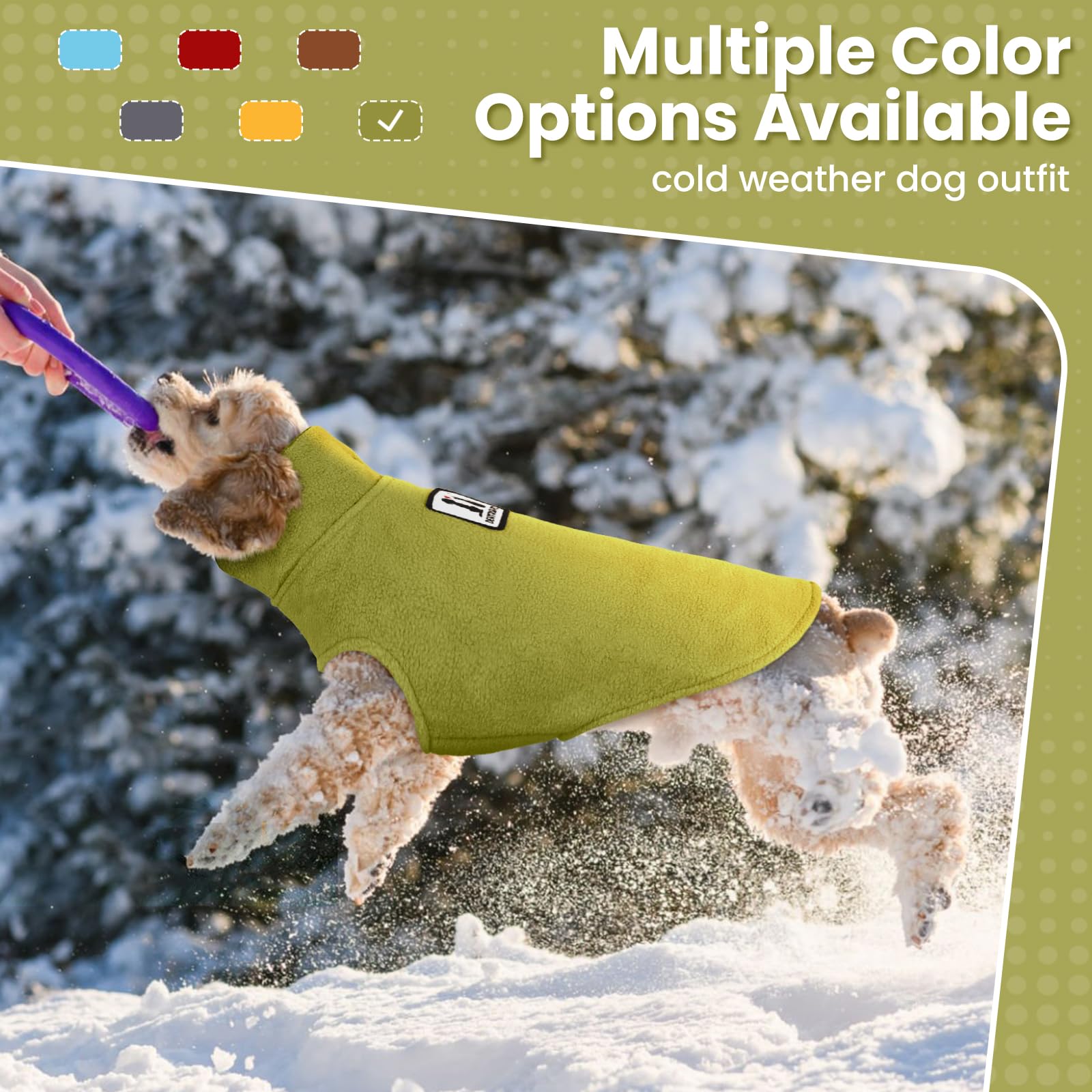 DENTRUN dog winter coat worn by a dog outdoors.