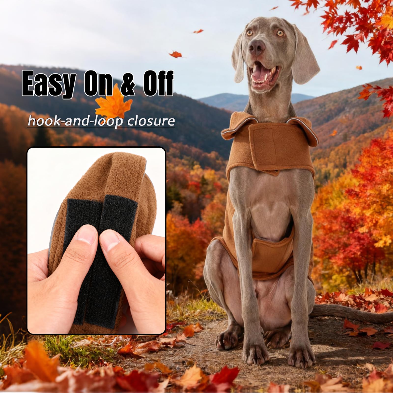 DENTRUN dog winter coat chest hook-and-loop fastener.