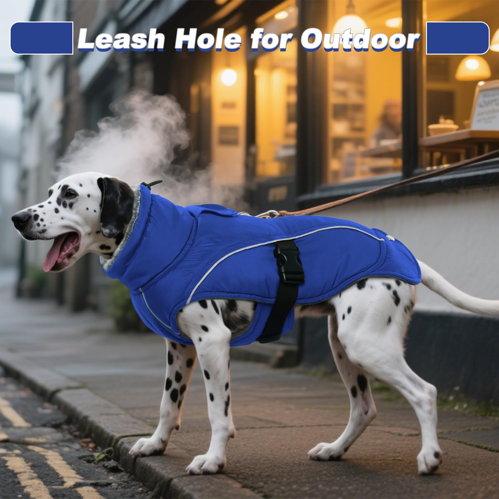 DENTRUN dog winter coat viewed from the side, showing its extended back hem.