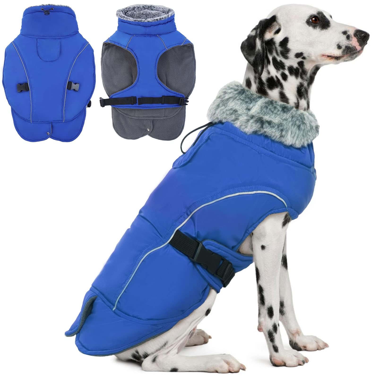 DENTRUN dog winter coat shown from the front.