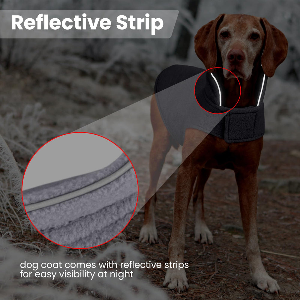 DENTRUN dog winter coat with its back leash opening visible.