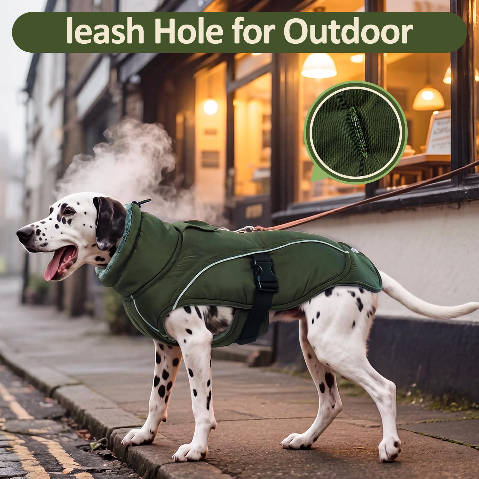 DENTRUN Warm Dog Winter Coat shown being worn by a dog.