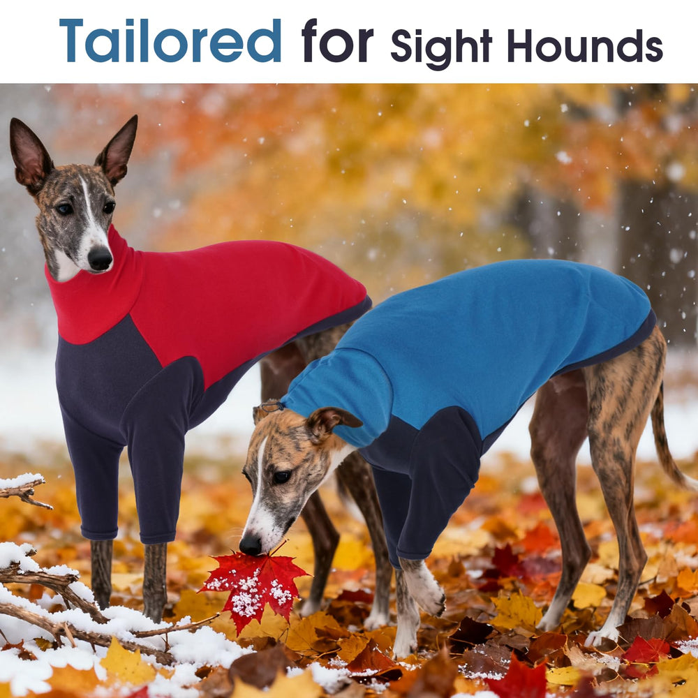 DENTRUN Greyhound Sweatshirt showing the high-cut abdominal opening.