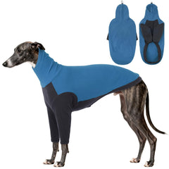 DENTRUN Greyhound Sweatshirt shown from the front with its fleece body and turtleneck.