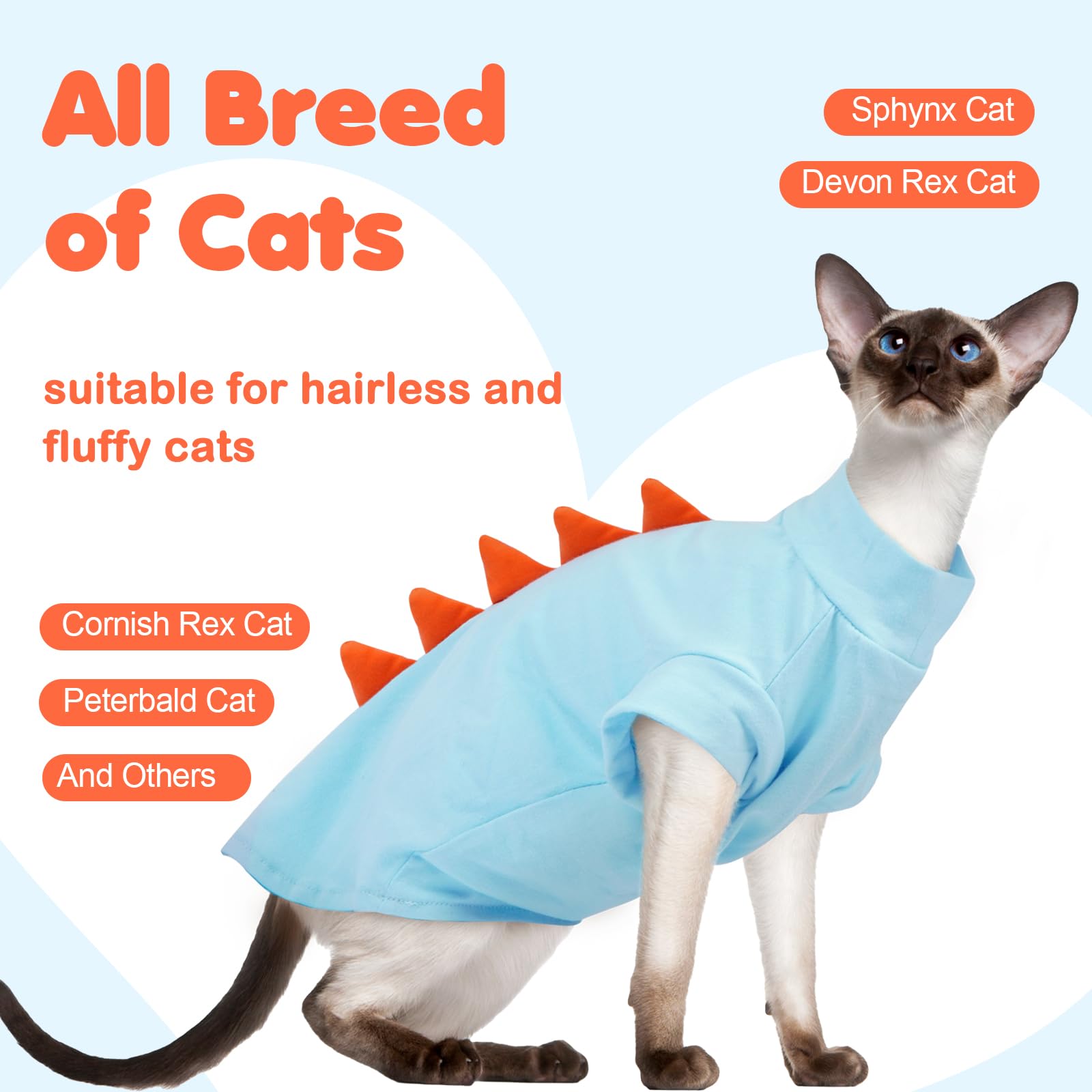 DENTRUN Sphynx Cat Shirt showing the hollow-style neckline detail.