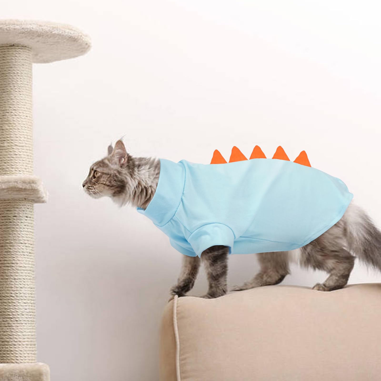 DENTRUN Sphynx Cat Shirt showing the loose waist and fitted shape.