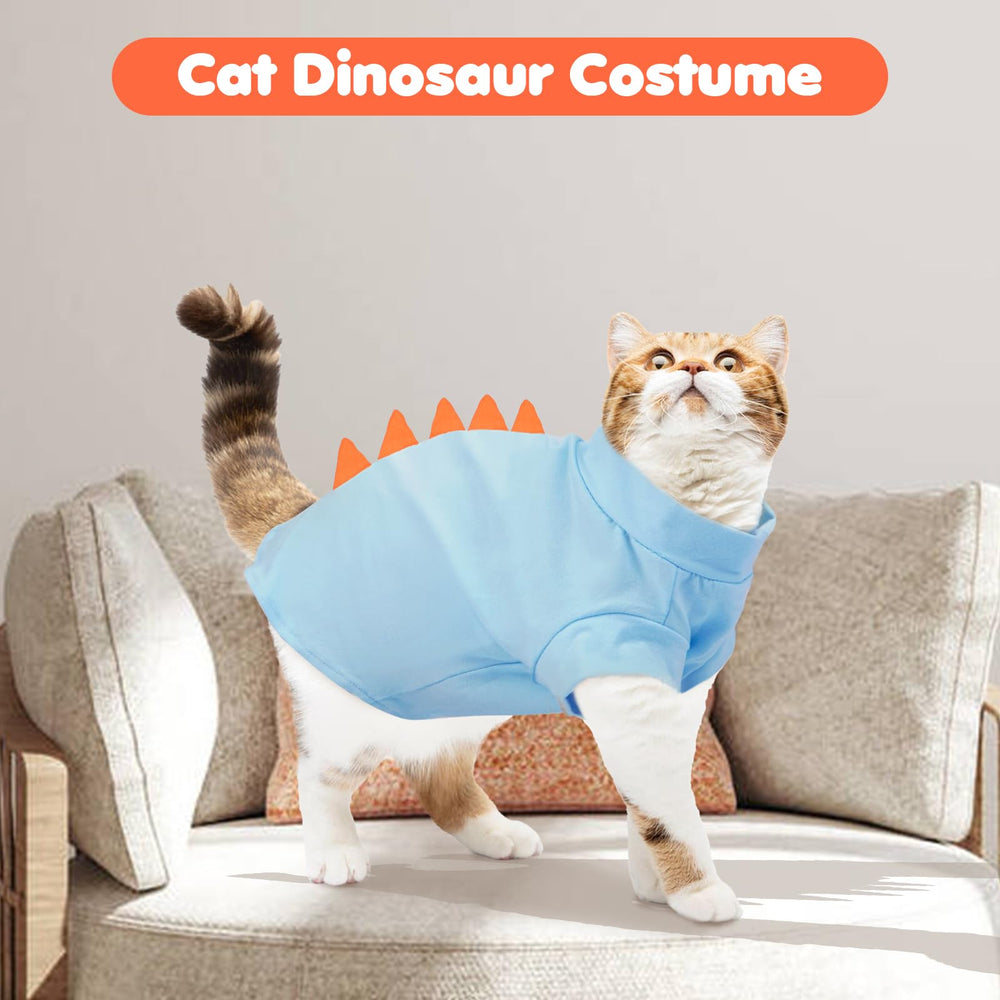 DENTRUN Sphynx Cat Shirt worn by a hairless cat.