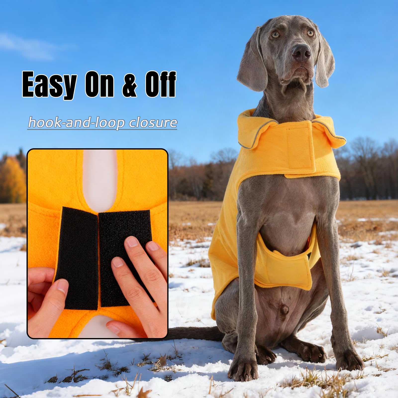 DENTRUN dog winter coat with a leash opening on the back.