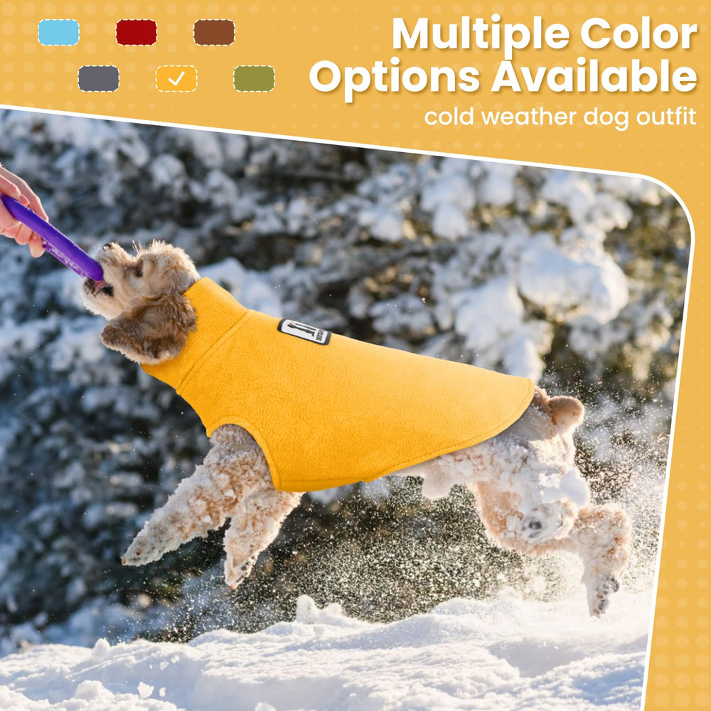 DENTRUN dog coat fit guidance for comparing a dog's bust measurement.